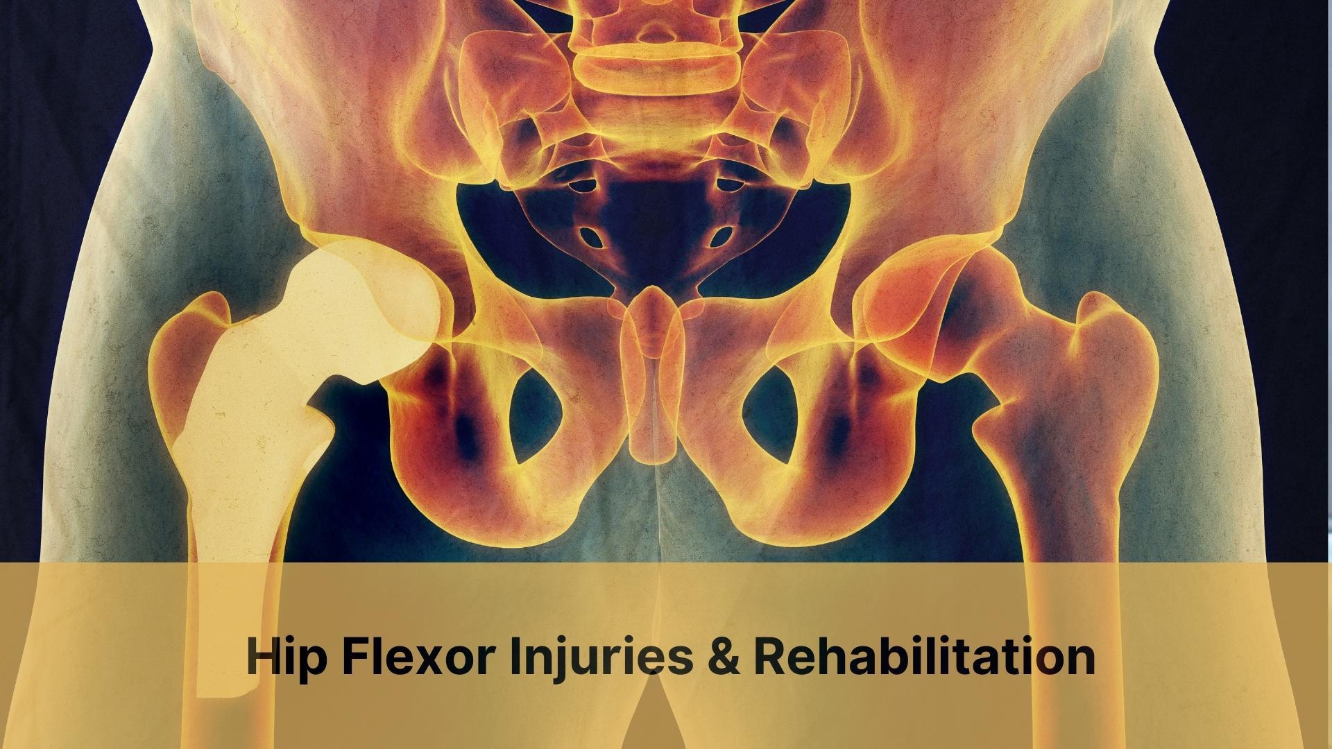 Hip Flexor Injuries & Rehabilitation