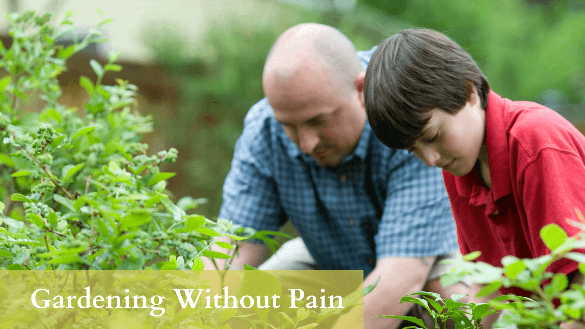 Gardening Without Pain